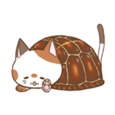 cat boxturtle sticker #8521447