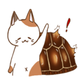 cat boxturtle sticker #8521452