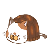 cat boxturtle sticker #8521453