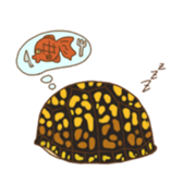 cat boxturtle sticker #8521463