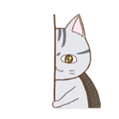 cat boxturtle sticker #8521468