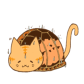 cat boxturtle sticker #8521472
