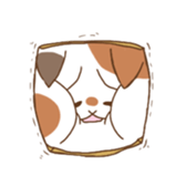 cat boxturtle sticker #8521473