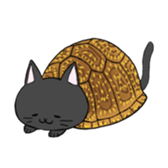 cat boxturtle sticker #8521475
