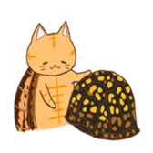 cat boxturtle sticker #8521479