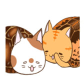 cat boxturtle sticker #8521480
