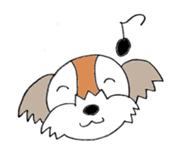 playful Shih Tzu sticker #8522082