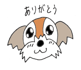 playful Shih Tzu sticker #8522083