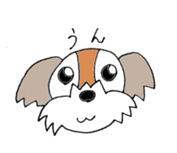 playful Shih Tzu sticker #8522085