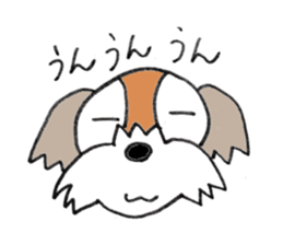 playful Shih Tzu sticker #8522087