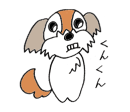 playful Shih Tzu sticker #8522091