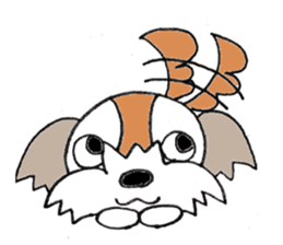 playful Shih Tzu sticker #8522094