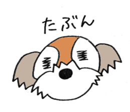 playful Shih Tzu sticker #8522097