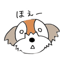 playful Shih Tzu sticker #8522110