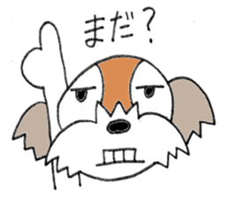 playful Shih Tzu sticker #8522111