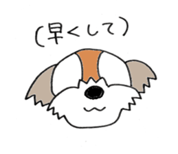 playful Shih Tzu sticker #8522119