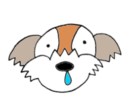 playful Shih Tzu sticker #8522120