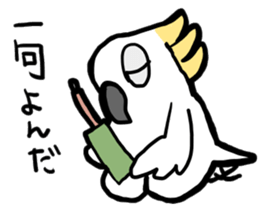 Sulphur-Crested Cockatoo KIBATA sticker #8526774
