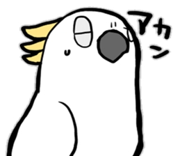 Sulphur-Crested Cockatoo KIBATA sticker #8526791