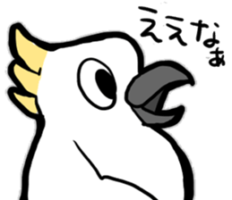 Sulphur-Crested Cockatoo KIBATA sticker #8526801