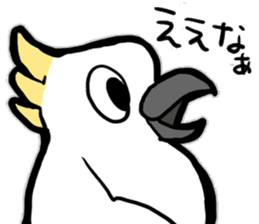 Sulphur-Crested Cockatoo KIBATA sticker #8526801