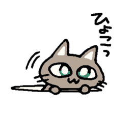 cat kobayashi sticker #8527709