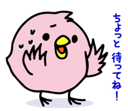 A pink chick sticker #8528457