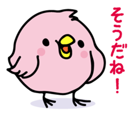 A pink chick sticker #8528467