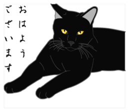 Wild of Rial-based black cat sticker #8530562