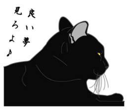 Wild of Rial-based black cat sticker #8530565