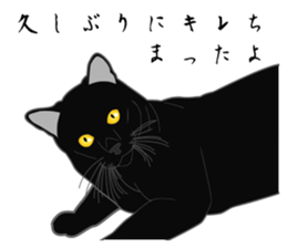 Wild of Rial-based black cat sticker #8530567