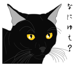 Wild of Rial-based black cat sticker #8530571