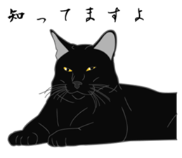 Wild of Rial-based black cat sticker #8530574