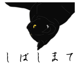 Wild of Rial-based black cat sticker #8530581