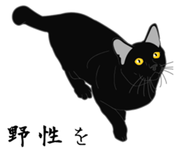 Wild of Rial-based black cat sticker #8530583