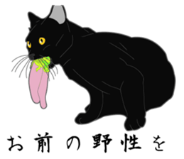 Wild of Rial-based black cat sticker #8530586