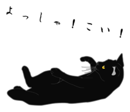 Wild of Rial-based black cat sticker #8530591