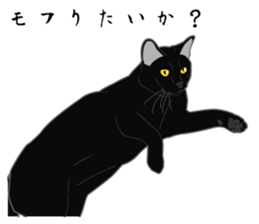 Wild of Rial-based black cat sticker #8530592