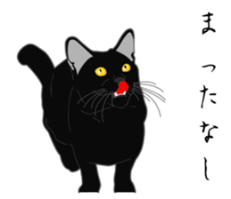 Wild of Rial-based black cat sticker #8530593