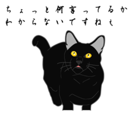 Wild of Rial-based black cat sticker #8530594
