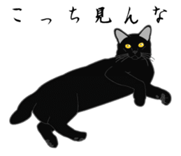 Wild of Rial-based black cat sticker #8530595