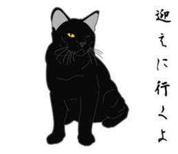 Wild of Rial-based black cat sticker #8530597