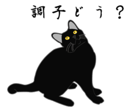 Wild of Rial-based black cat sticker #8530598