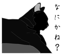 Wild of Rial-based black cat sticker #8530599