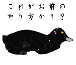 Wild of Rial-based black cat sticker #8530600