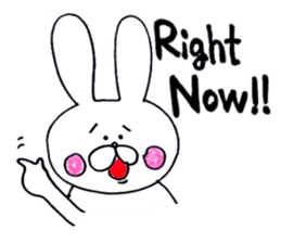 rabbit name USA (english ver.) sticker #8531476