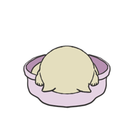 My dear husband and cat. sticker #8532996