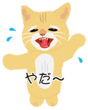 Cat Club sticker #8535389