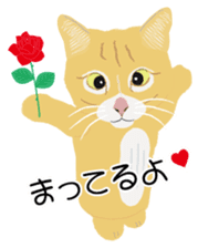 Cat Club sticker #8535392