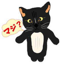 Cat Club sticker #8535394